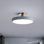 Ceiling Lamp | Acrylic & Energy-Saving LED | 30/40/49 cm