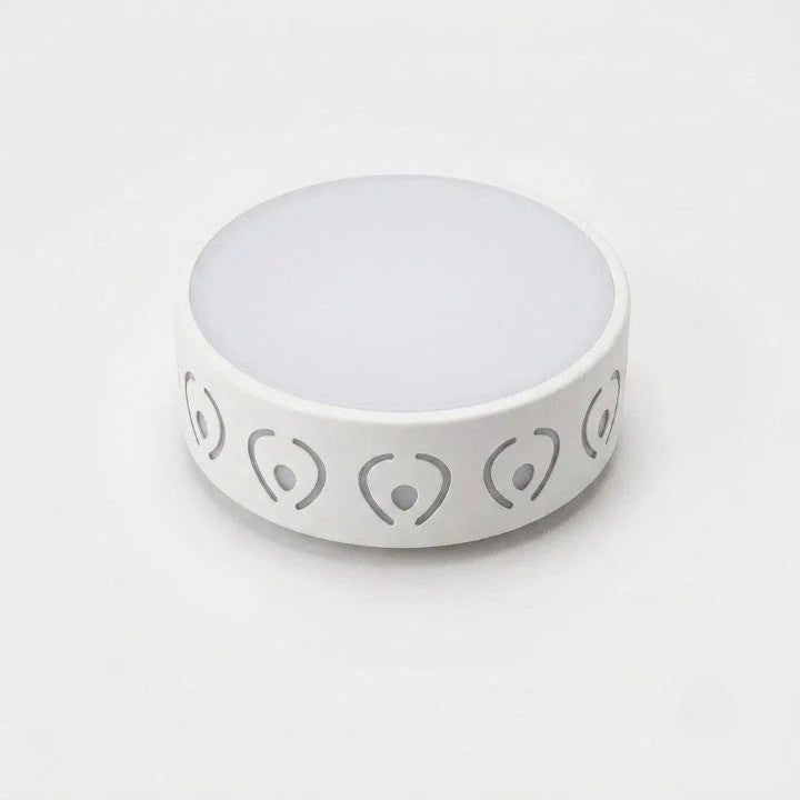 Ceiling Lamp | Crystal-Acrylic & Integrated LED | Warm & Cool White