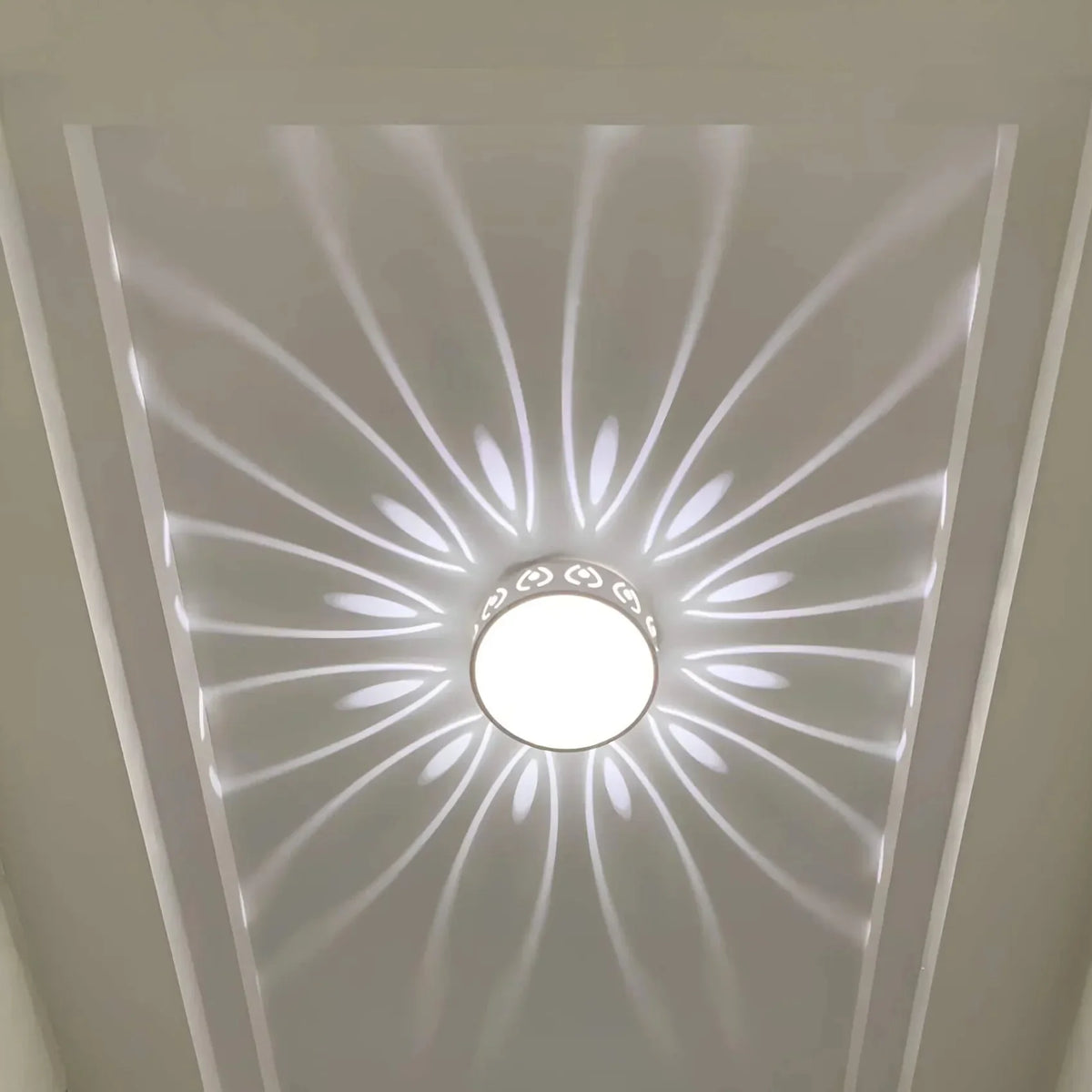 Ceiling Lamp | Crystal-Acrylic & Integrated LED | Warm & Cool White