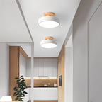Ceiling Lamp