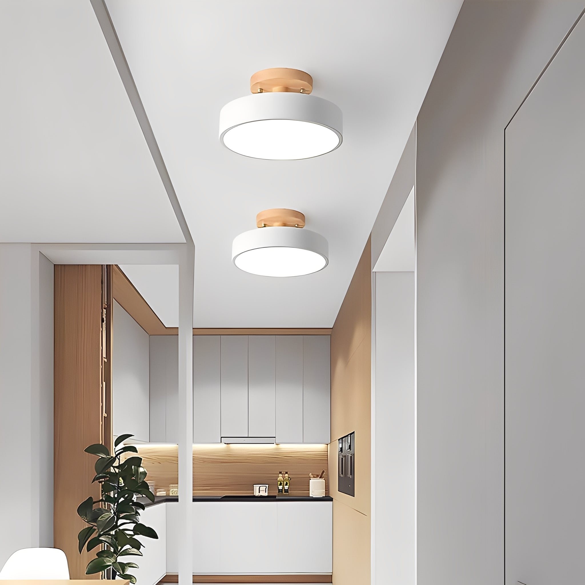 Ceiling Lamp
