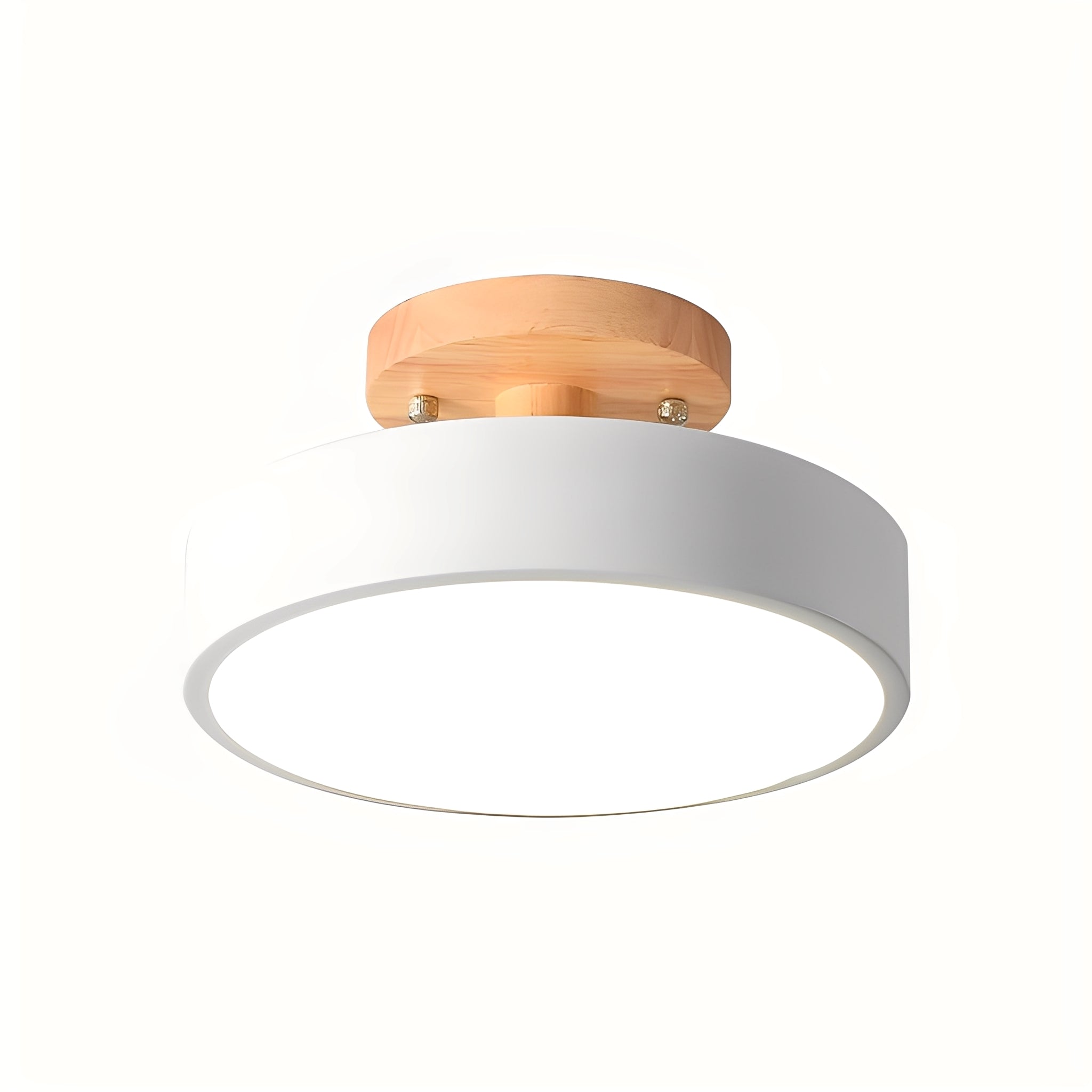 Ceiling Lamp