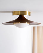Ceiling Light | Integrated LED & Compact Flush Mount