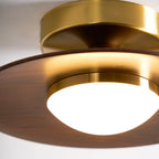 Ceiling Light | Integrated LED & Compact Flush Mount