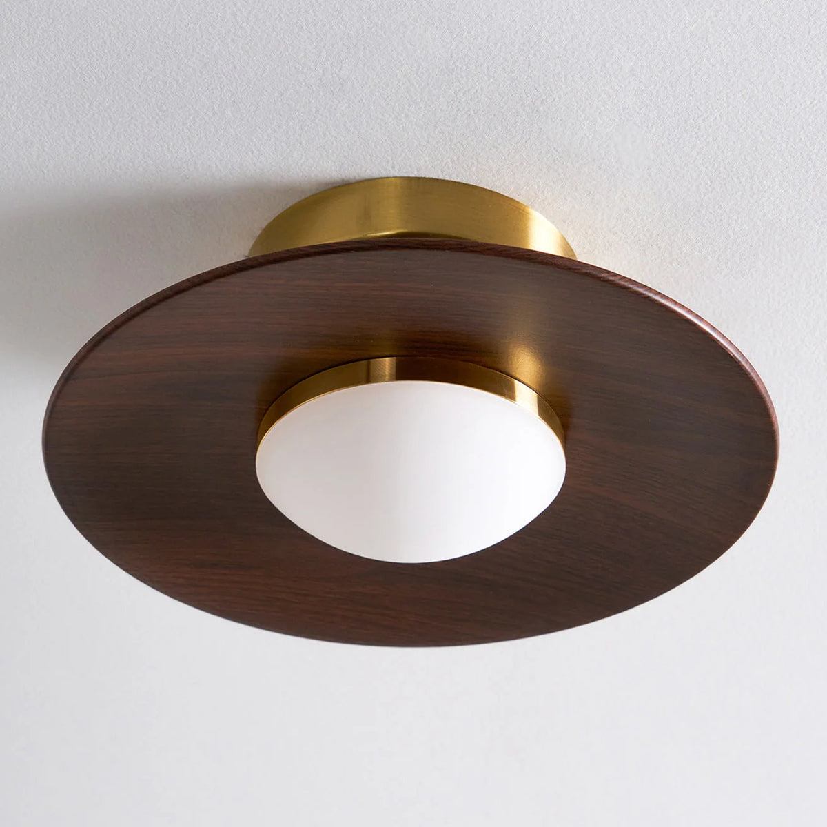 Ceiling Light | Integrated LED & Compact Flush Mount