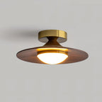 Ceiling Light | Integrated LED & Compact Flush Mount
