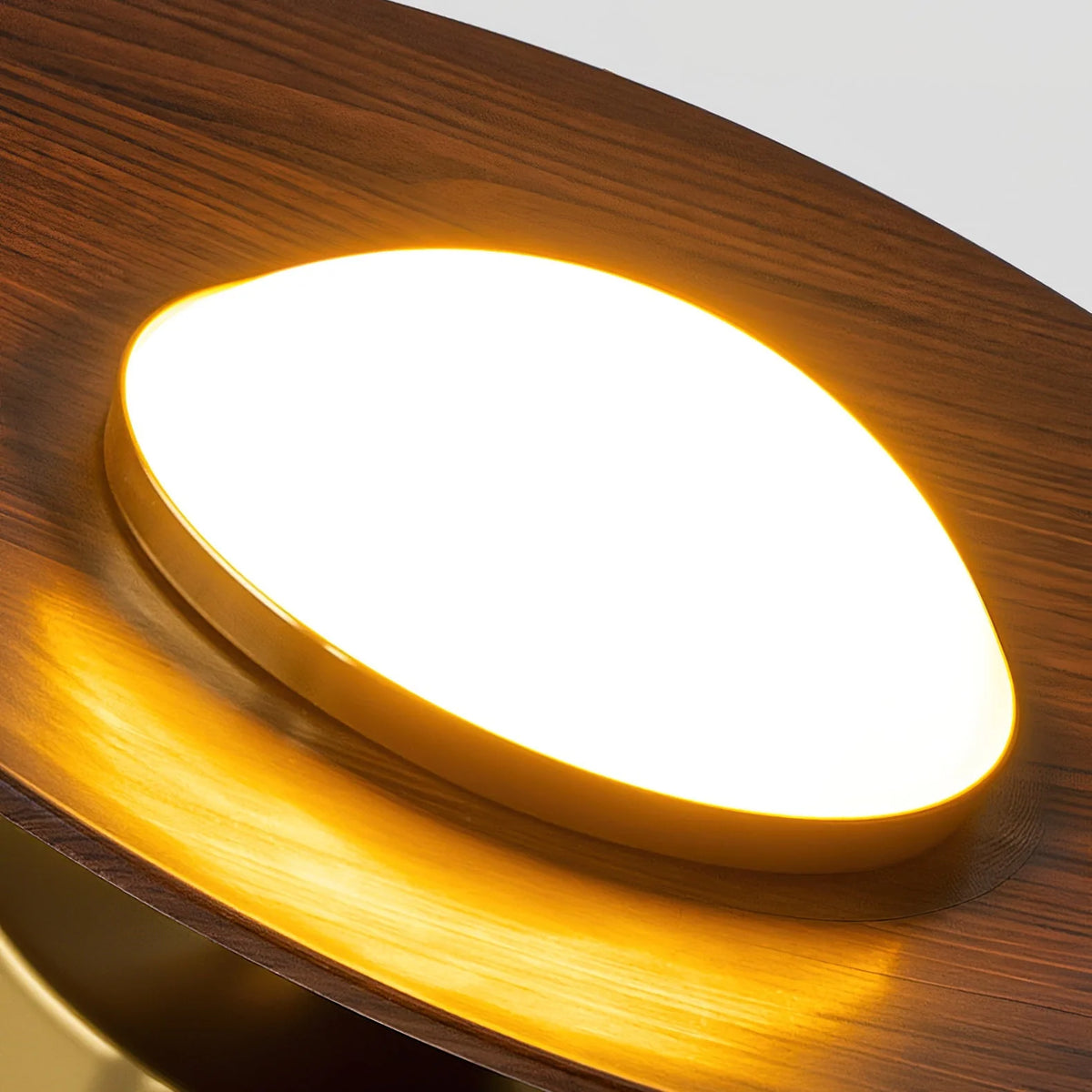 Ceiling Light | Integrated LED & Compact Flush Mount