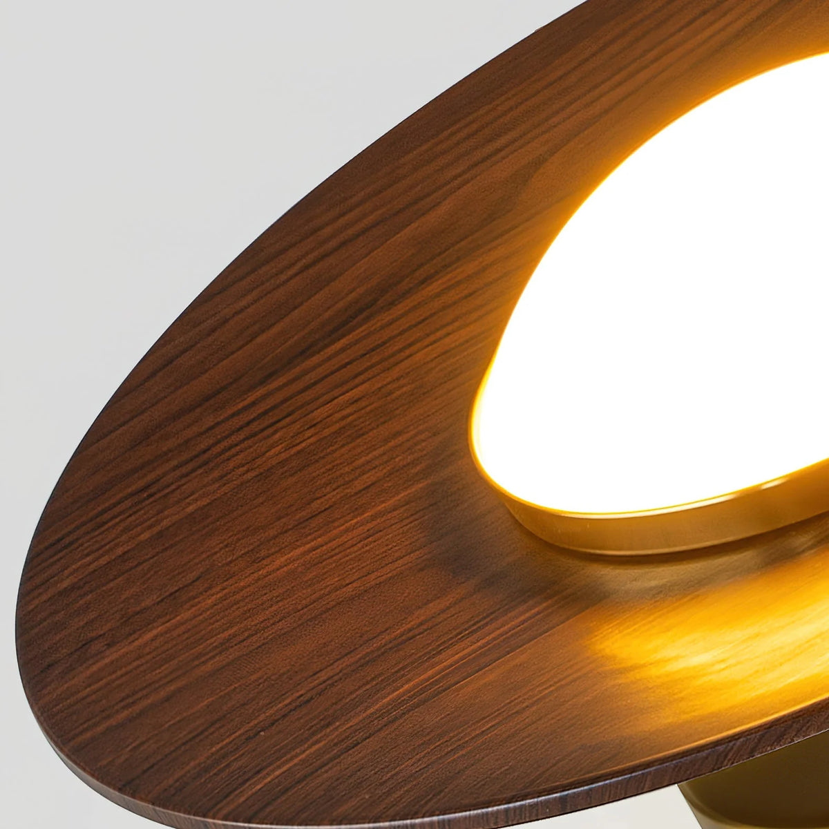Ceiling Light | Integrated LED & Compact Flush Mount
