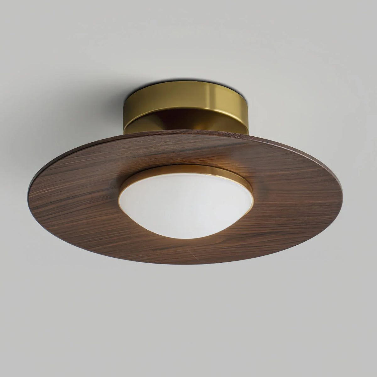 Ceiling Light | Integrated LED & Compact Flush Mount