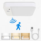 Ceiling Light | Rechargeable Motion Sensor LED | Remote Control