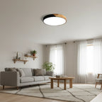 Ceiling Light | Wood Accent & Flush-Mount | Integrated LED