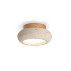 Ceiling Light