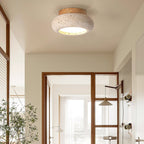 Ceiling Light