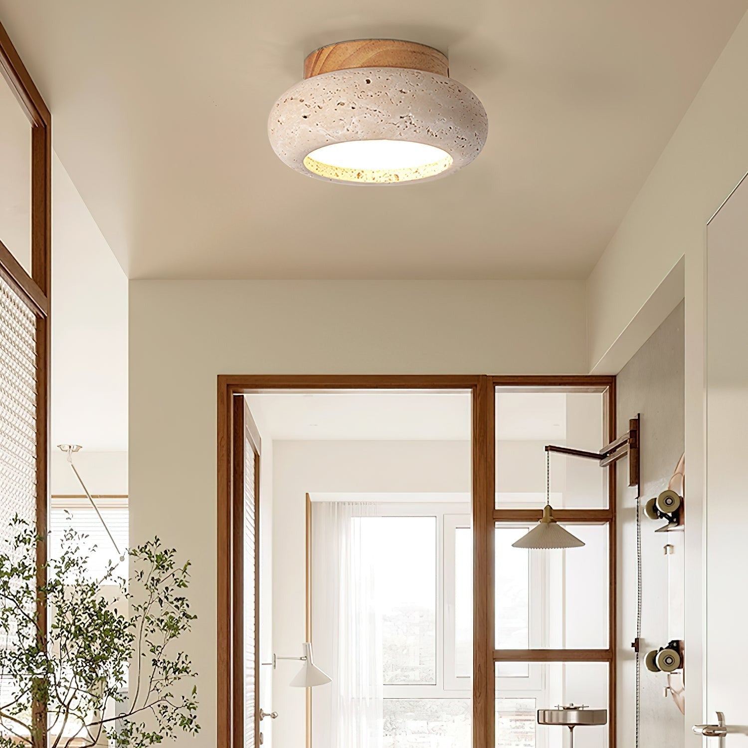 Ceiling Light