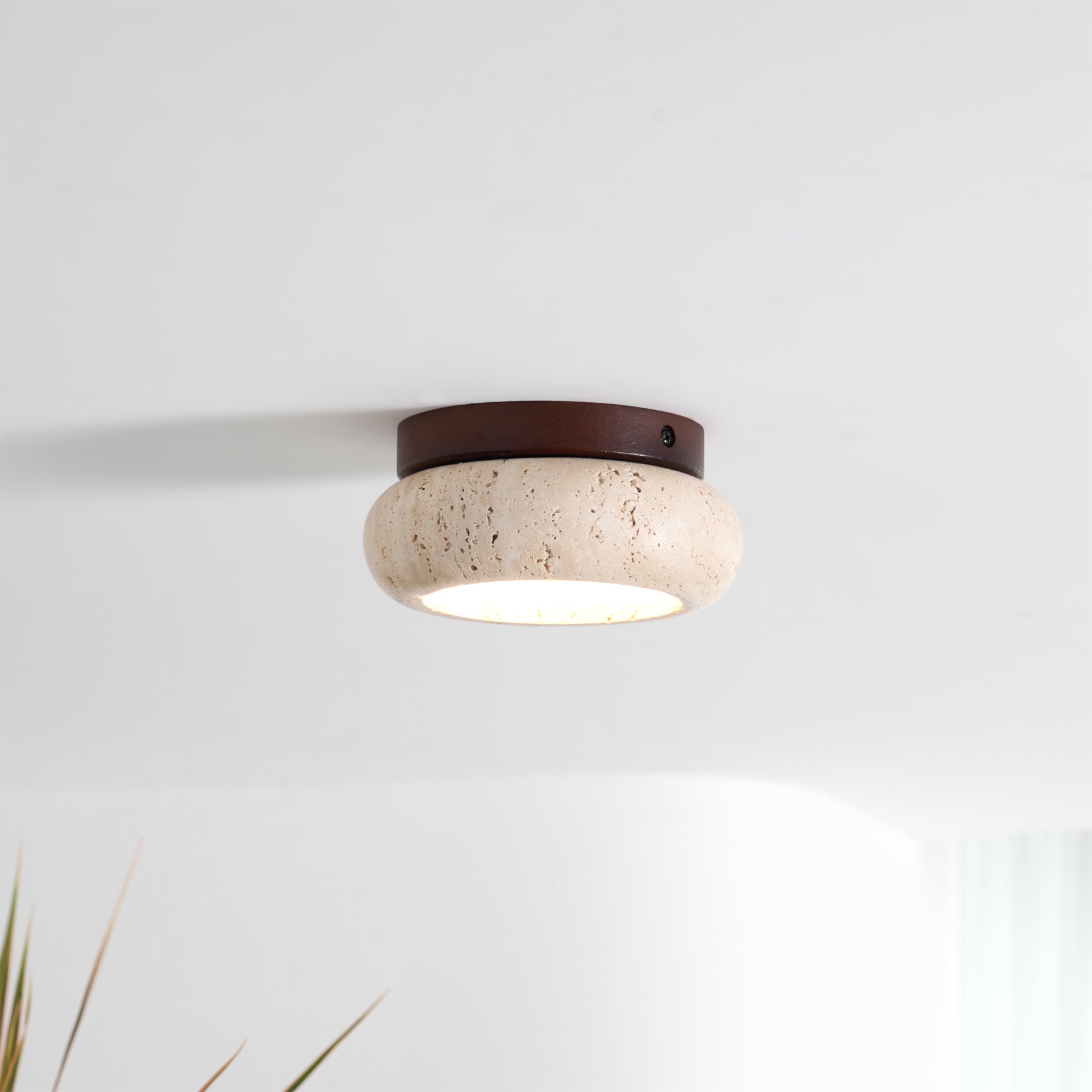 Ceiling Light