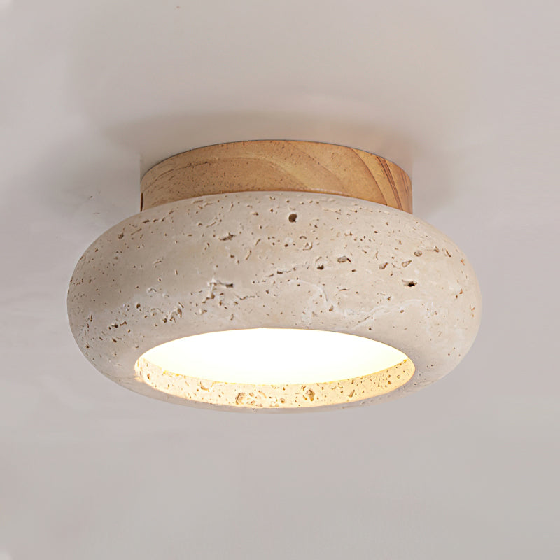 Ceiling Light