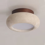 Ceiling Light