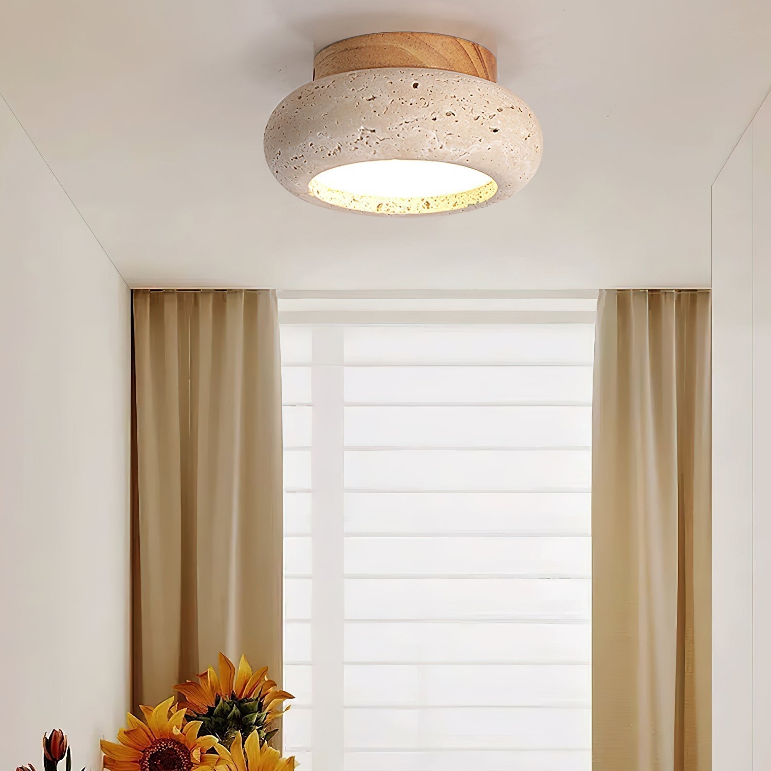 Ceiling Light