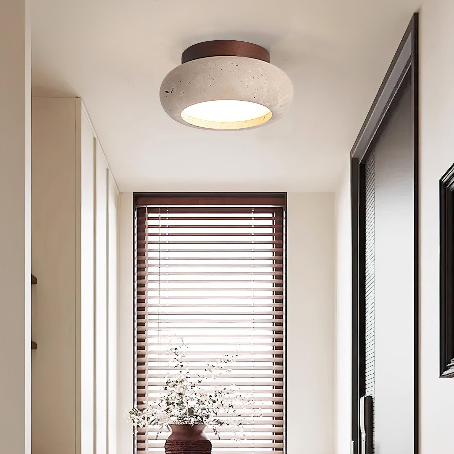 Ceiling Light