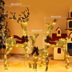 Christmas Light Display | LED Plug-In Indoor & Outdoor | Elk & Sleigh Scene