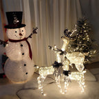 Christmas Light Display | LED Plug-In Indoor & Outdoor | Elk & Sleigh Scene