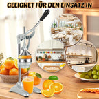 Citrus Juicer | Stainless Steel Lever-Action & Non-Slip Suction Base
