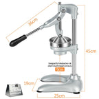 Citrus Juicer | Stainless Steel Lever-Action & Non-Slip Suction Base