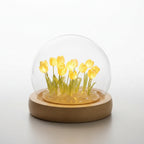 Cloche Lamp | Warm LED Glass Dome & Battery-Powered