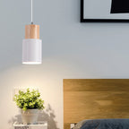 Pendant Light | Nordic Cylinder Aluminum Shade | Warm LED