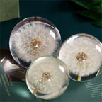 Decorative Crystal Ball | Real Dandelion Resin & Crystal Effect | 7 cm Diameter