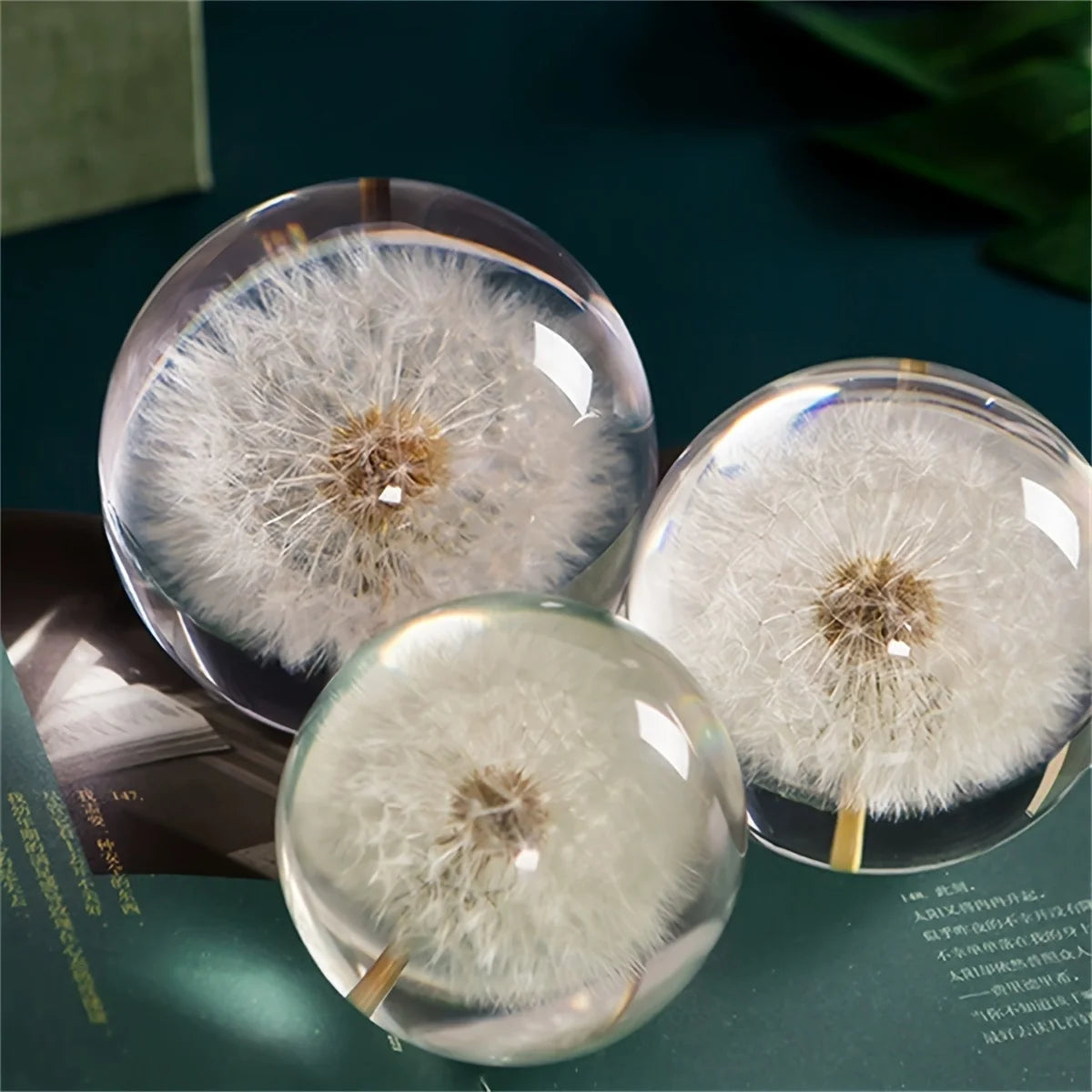 Decorative Crystal Ball | Real Dandelion Resin & Crystal Effect | 7 cm Diameter
