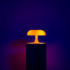 Desk Lamp