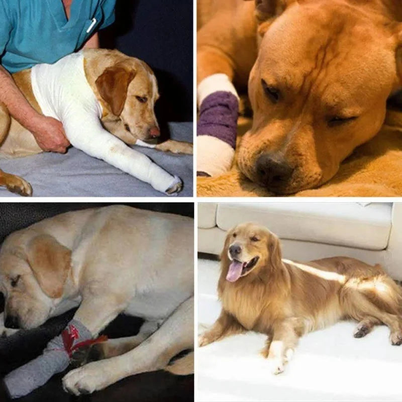 Dog Ankle Brace | Adjustable Compression & Reflective Strips