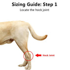 Dog Ankle Brace | Adjustable Compression & Reflective Strips