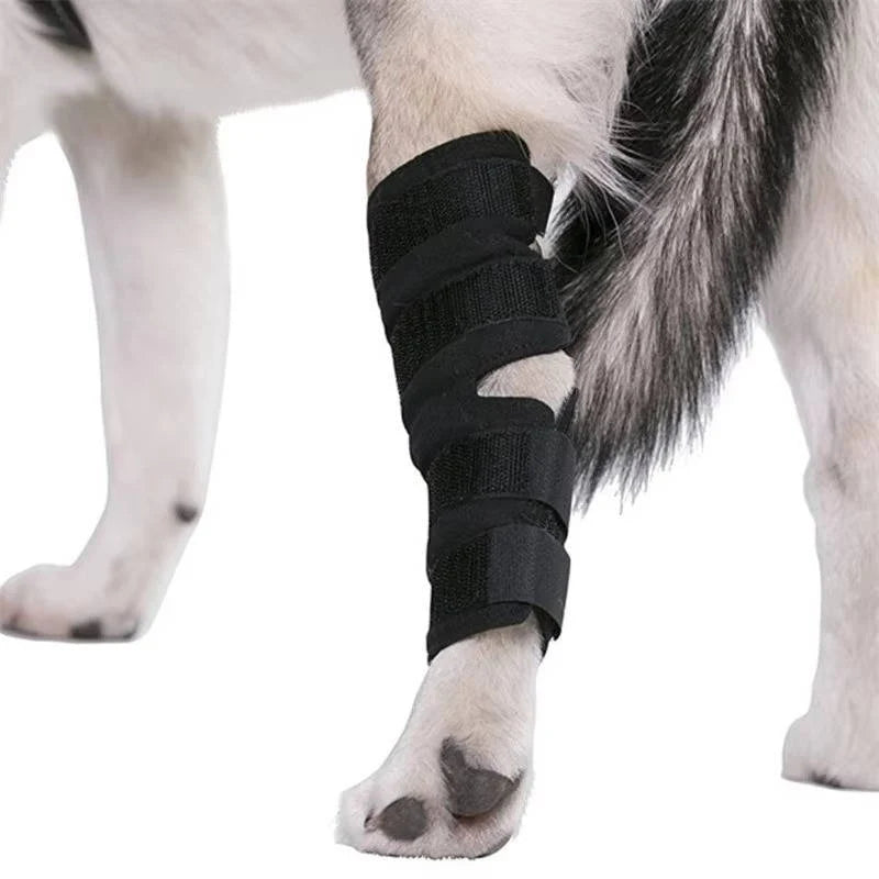 Dog Ankle Brace | Adjustable Compression & Reflective Strips