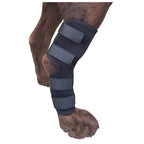 Dog Ankle Brace | Adjustable Compression & Reflective Strips