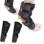 Dog Ankle Brace | Adjustable Compression & Reflective Strips