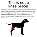 Dog Ankle Brace | Adjustable Compression & Reflective Strips