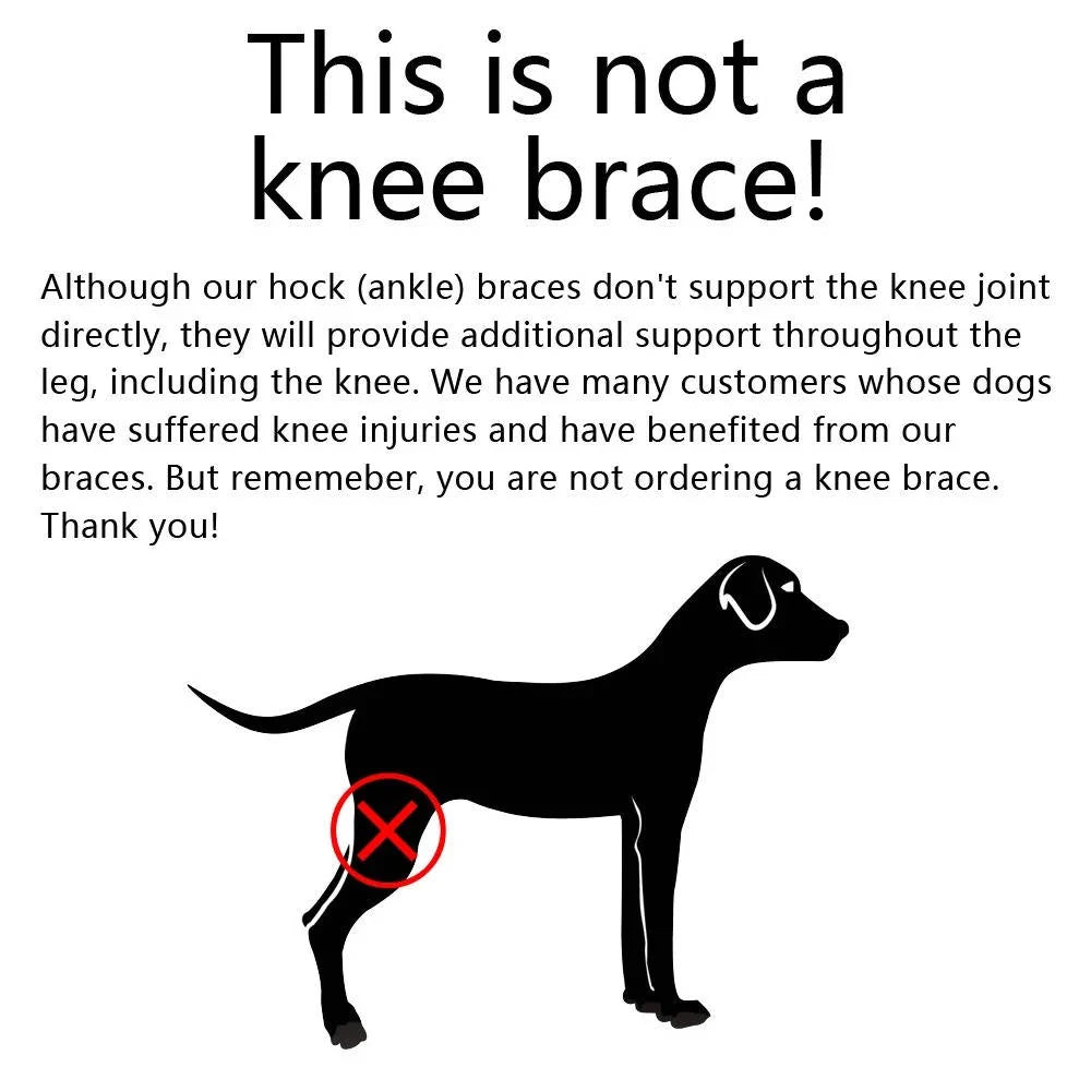 Dog Ankle Brace | Adjustable Compression & Reflective Strips