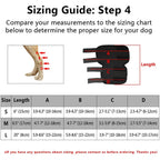 Dog Ankle Brace | Adjustable Compression & Reflective Strips