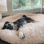 Dog Bed | Anxiety-Relieving Plush Nest-Style | Multiple Sizes