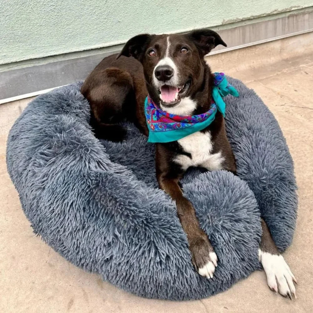 Dog Bed | Anxiety-Relieving Plush Nest-Style | Multiple Sizes