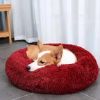 Dog Bed | Anxiety-Relieving Plush Nest-Style | Multiple Sizes
