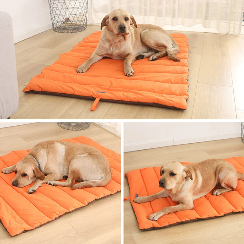 Dog Bed | Waterproof & Odor-Resistant | Foldable With Carry Bag