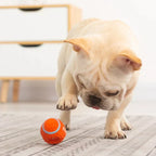 Dog Chew Toy | Extra-Strong & Non-Toxic Latex