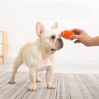 Dog Chew Toy | Extra-Strong & Non-Toxic Latex