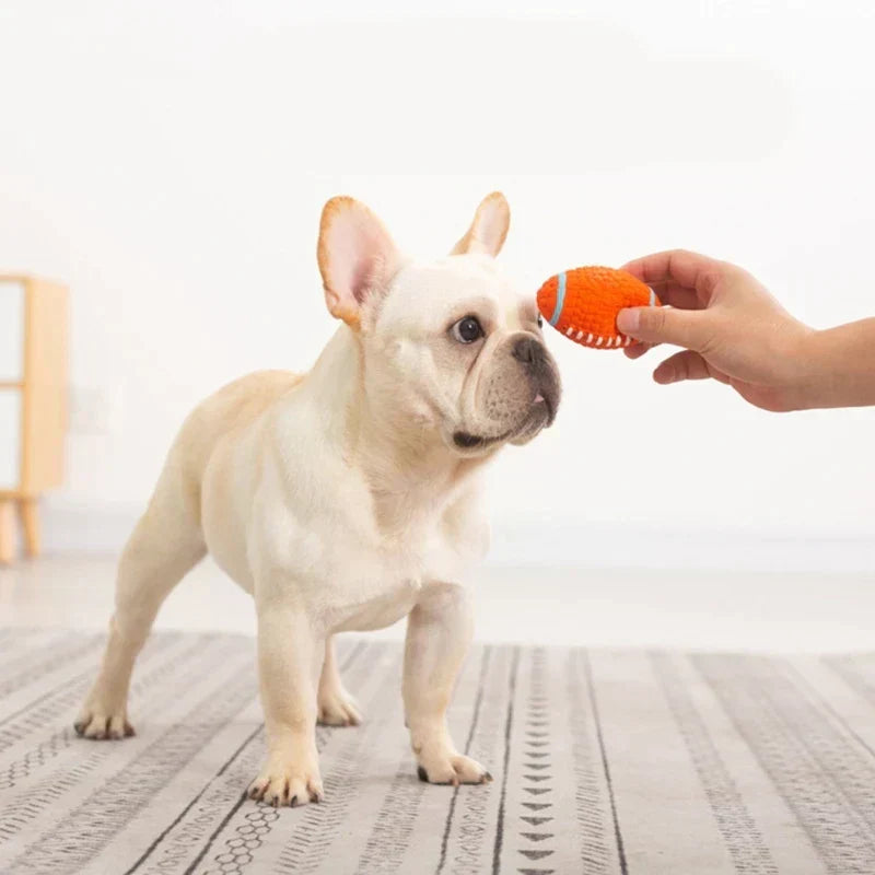Dog Chew Toy | Extra-Strong & Non-Toxic Latex