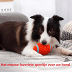 Dog Chew Toy | Extra-Strong & Non-Toxic Latex