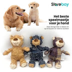 Dog Chew Toy | Indestructible & Non-Toxic