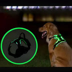Dog Harness | USB Rechargeable LED & Padded Oxford